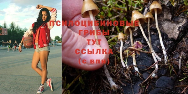гашик Абдулино