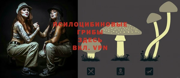 соль ск Абинск